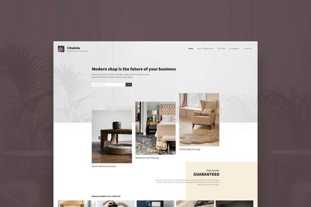 Citadela Layouts: ready-to-use one click install website layout packs