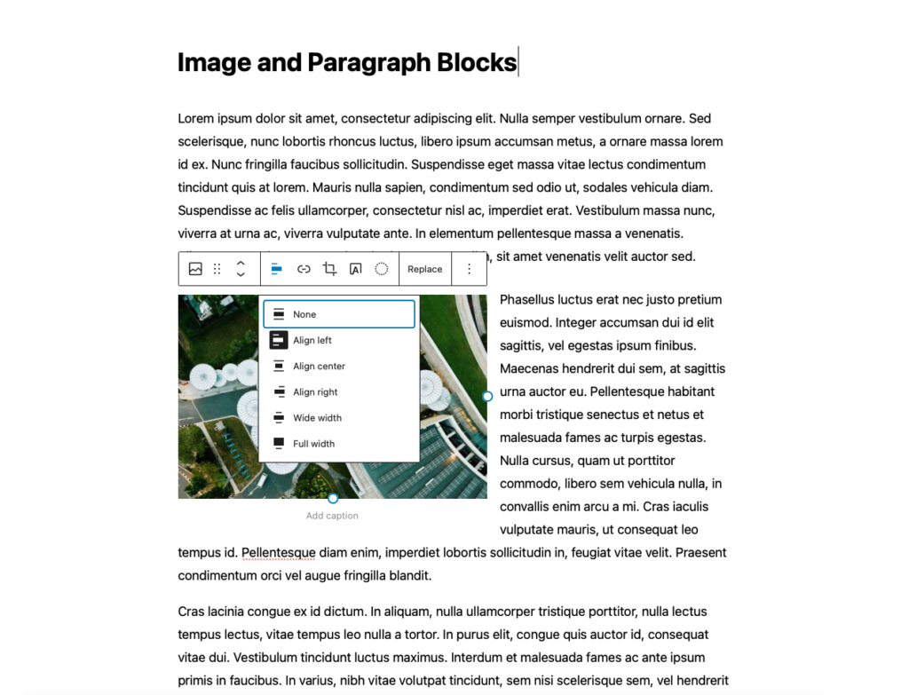 Tekst om een afbeelding wikkelen met Gutenberg-blokken voor afbeeldingen en alinea's